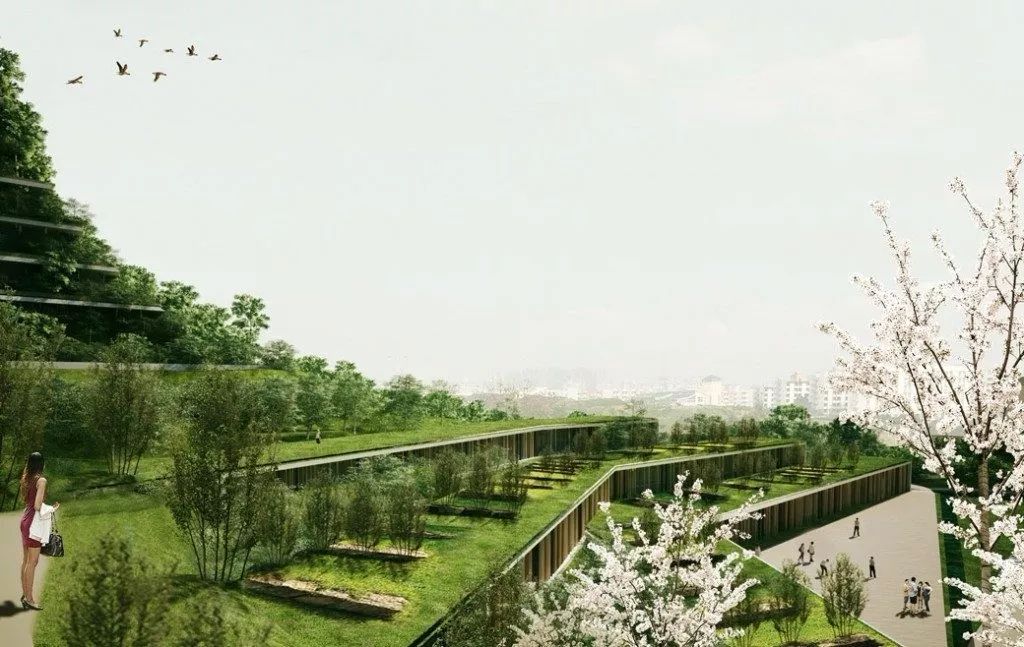 第四代住房「垂直森林」来了，竟在中国遍地开花！网友：蚊子太多，住不起......-164