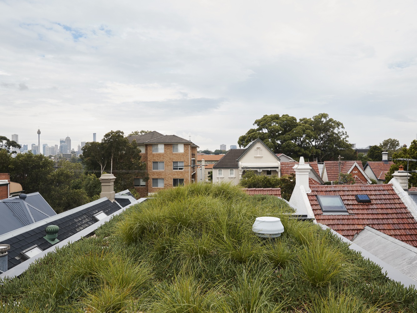 白桦树屋丨澳大利亚丨H&E Architects-20