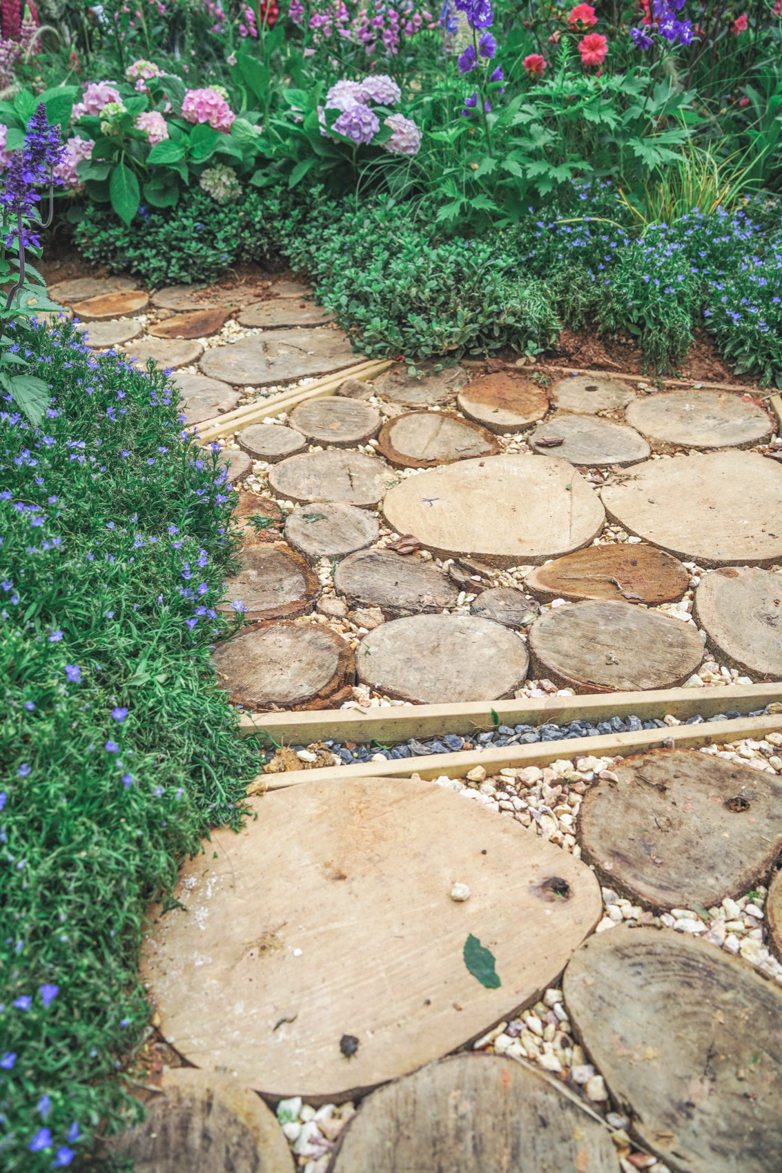 互动视听花园,深圳 / 华南理工大学建筑学院风景园林系-88