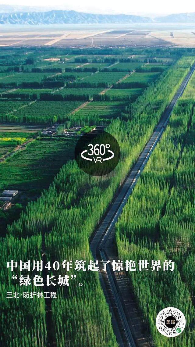 三北·防护林工程 I 中国用40年筑起了惊艳世界的“绿色长城”-1