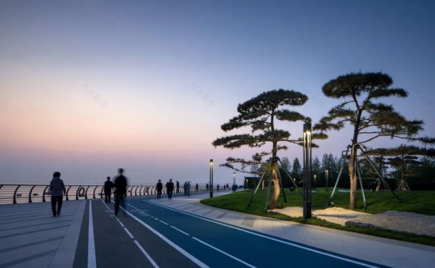 松林浪屿,海岸逐光丨青岛 · 云上观海-89
