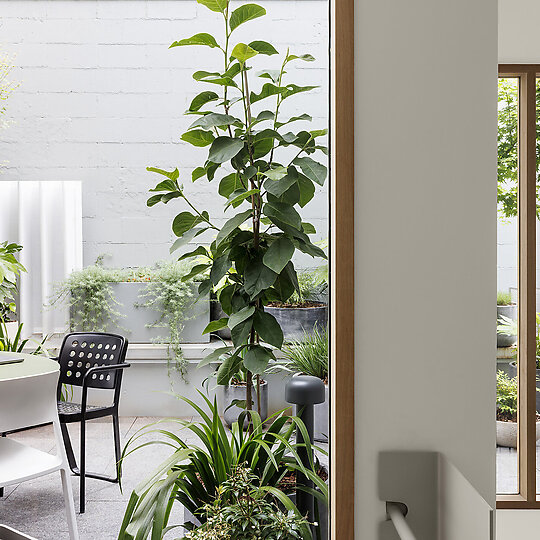 Studio by DesignOffice | Australian Interior Design Awards-4