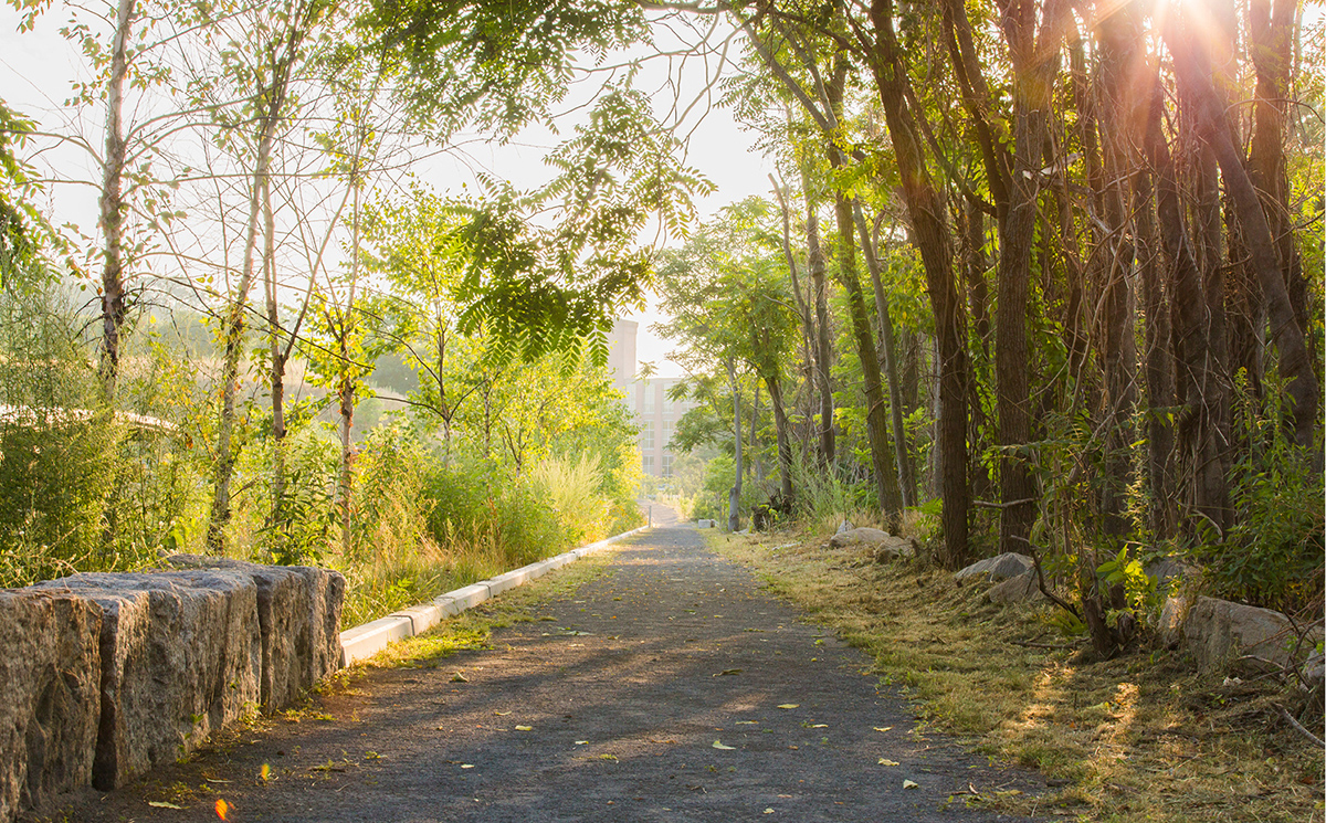 工业遗址重生 · 马萨诸塞州铸铁厂公园的绿色转型丨意大利马萨丨STIMSON-42