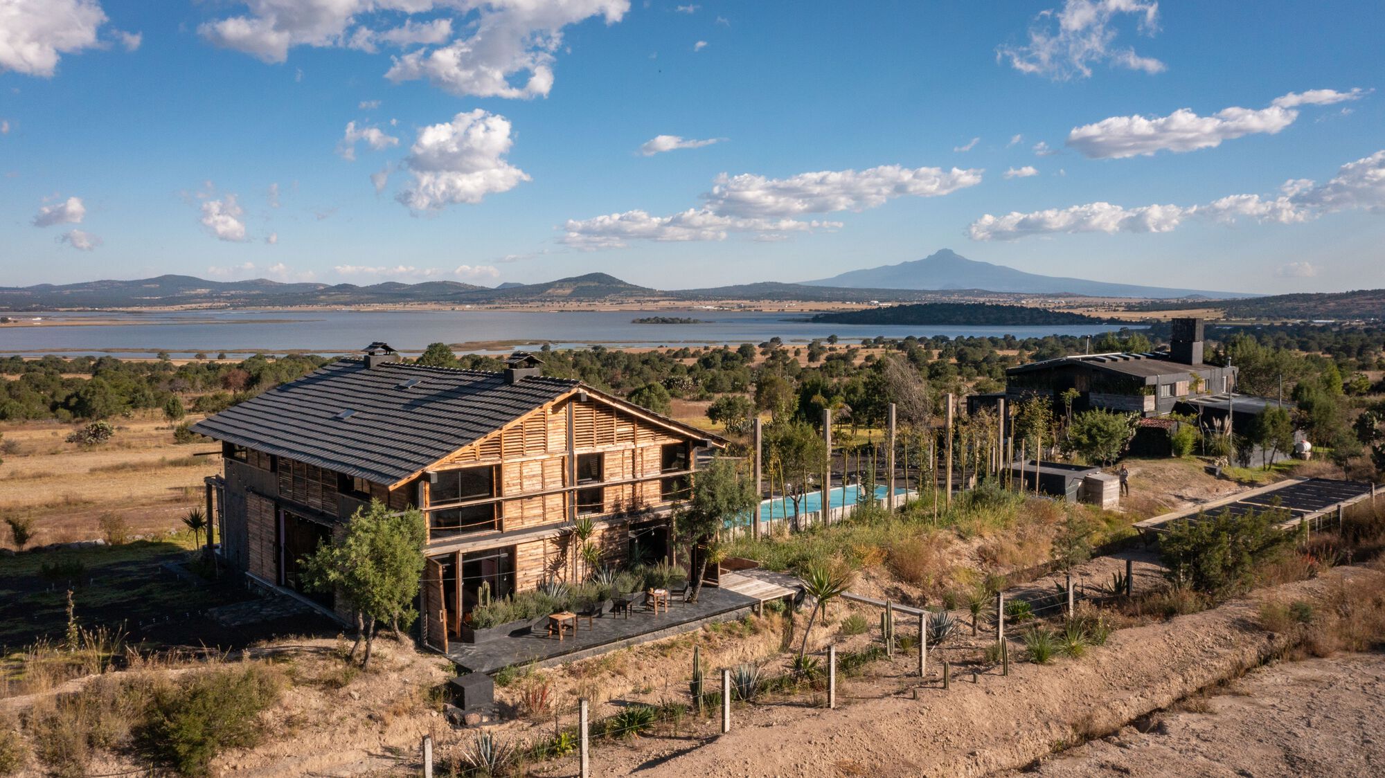 中村屋丨墨西哥丨Fausto Terán,Toro-30