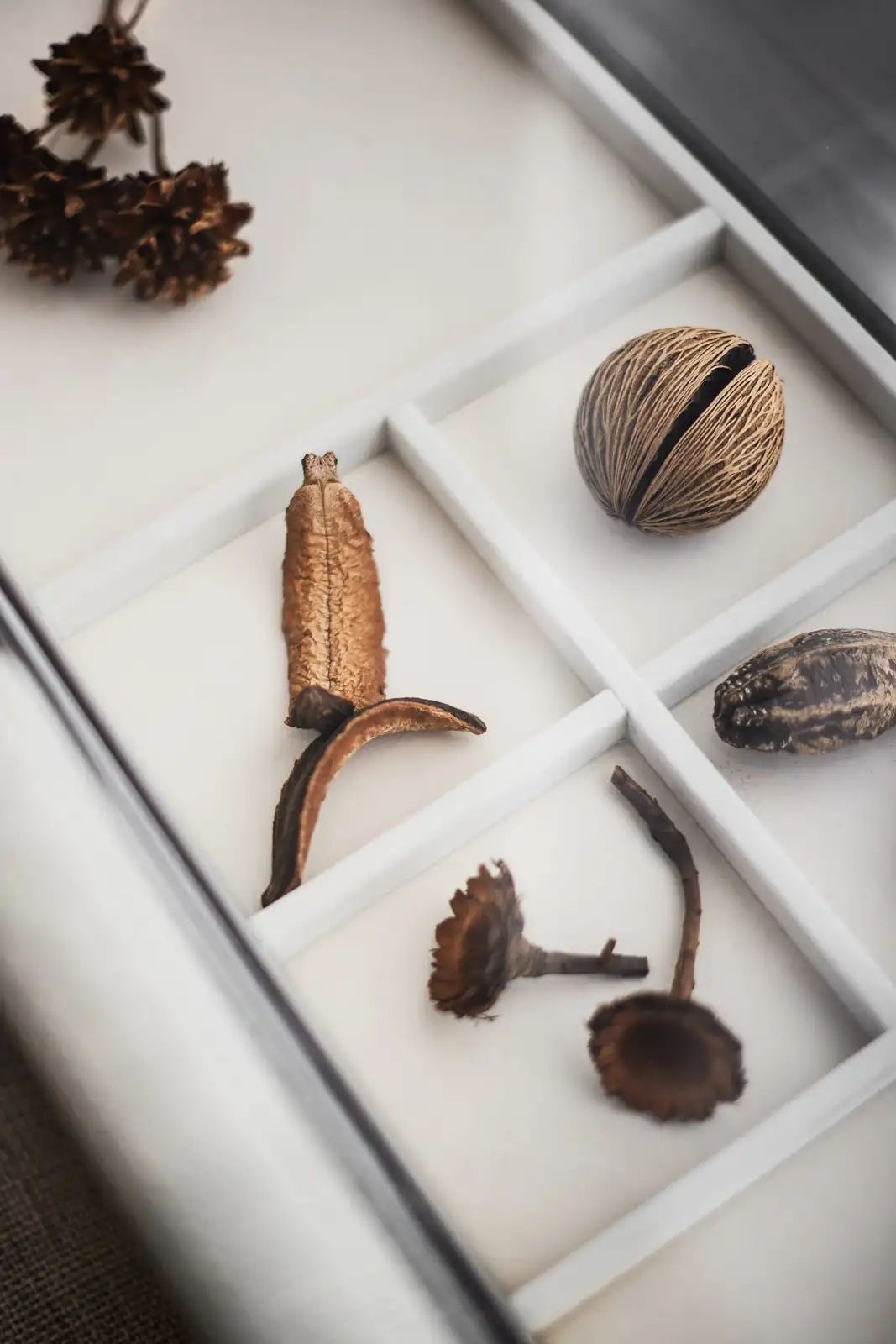 中山远洋天成营销中心丨中国中山丨IDAD 久度设计-40