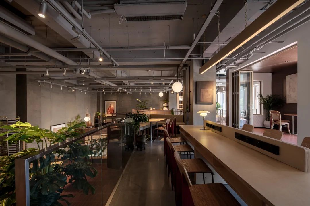 ZEECO吱个｜发酵的生长丨中国沈阳丨白菜设计-42