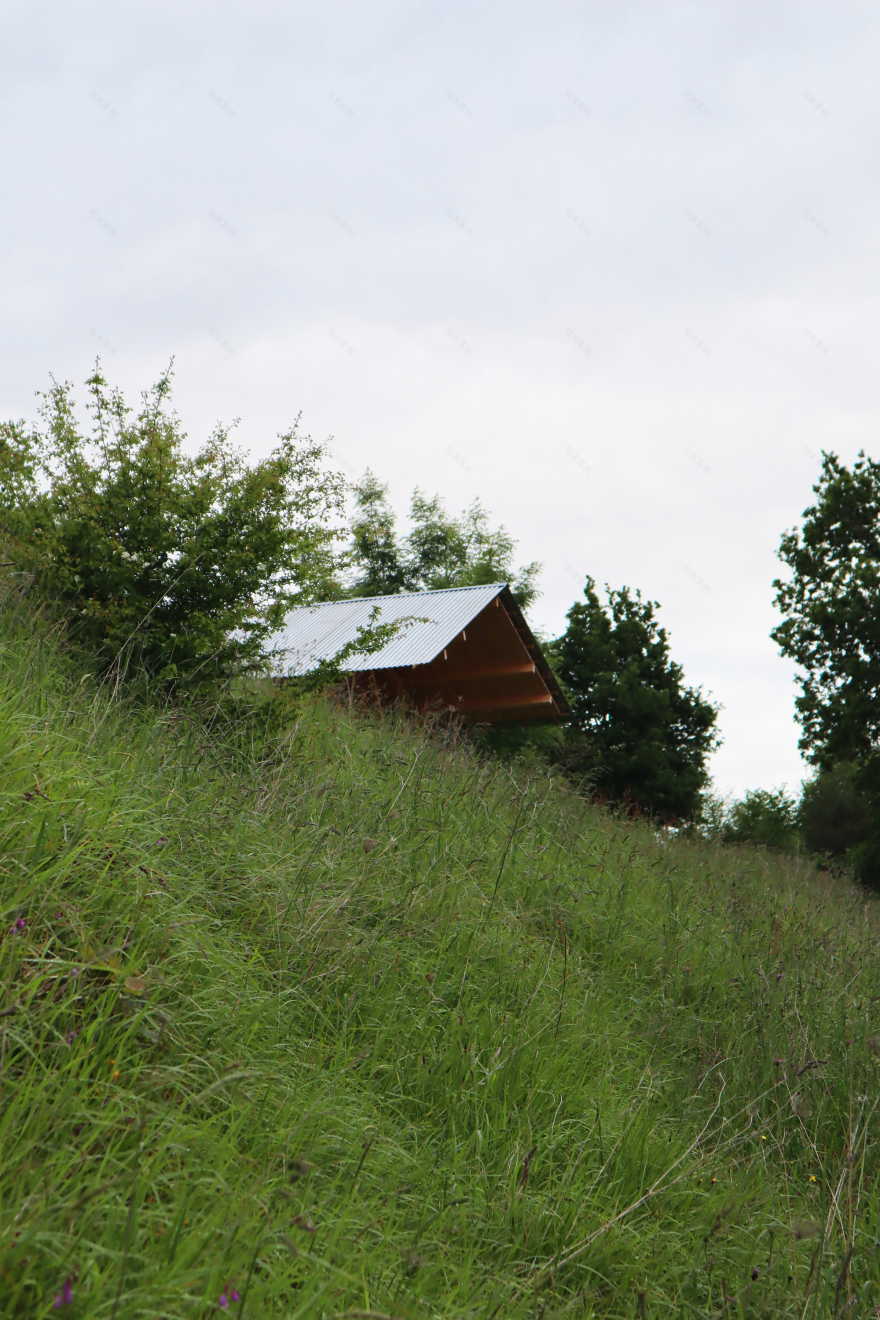 Taller Agropoetico - Foresta Collective / Atelier Poem-39