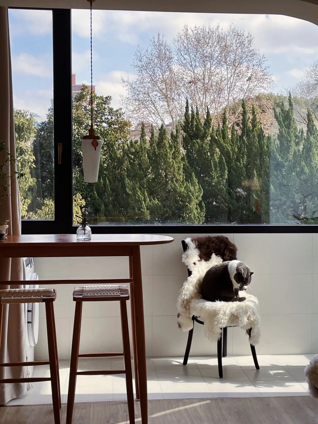 森林小屋 · 上海55平老房子变身诗意空间丨中国上海丨屋主琪琪-5