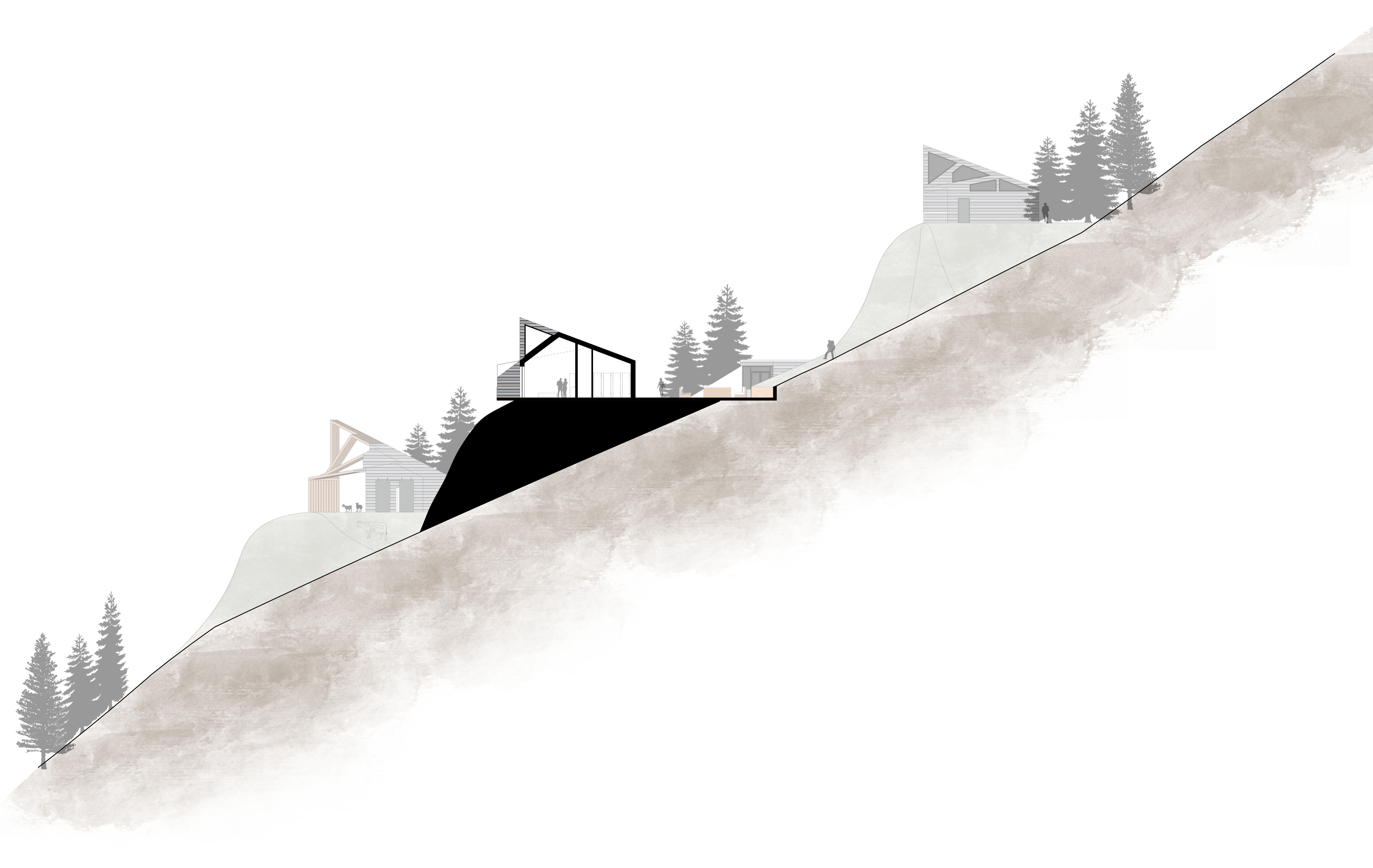 Augusta Bergdorf 阿尔卑斯建筑丨奥地利-14