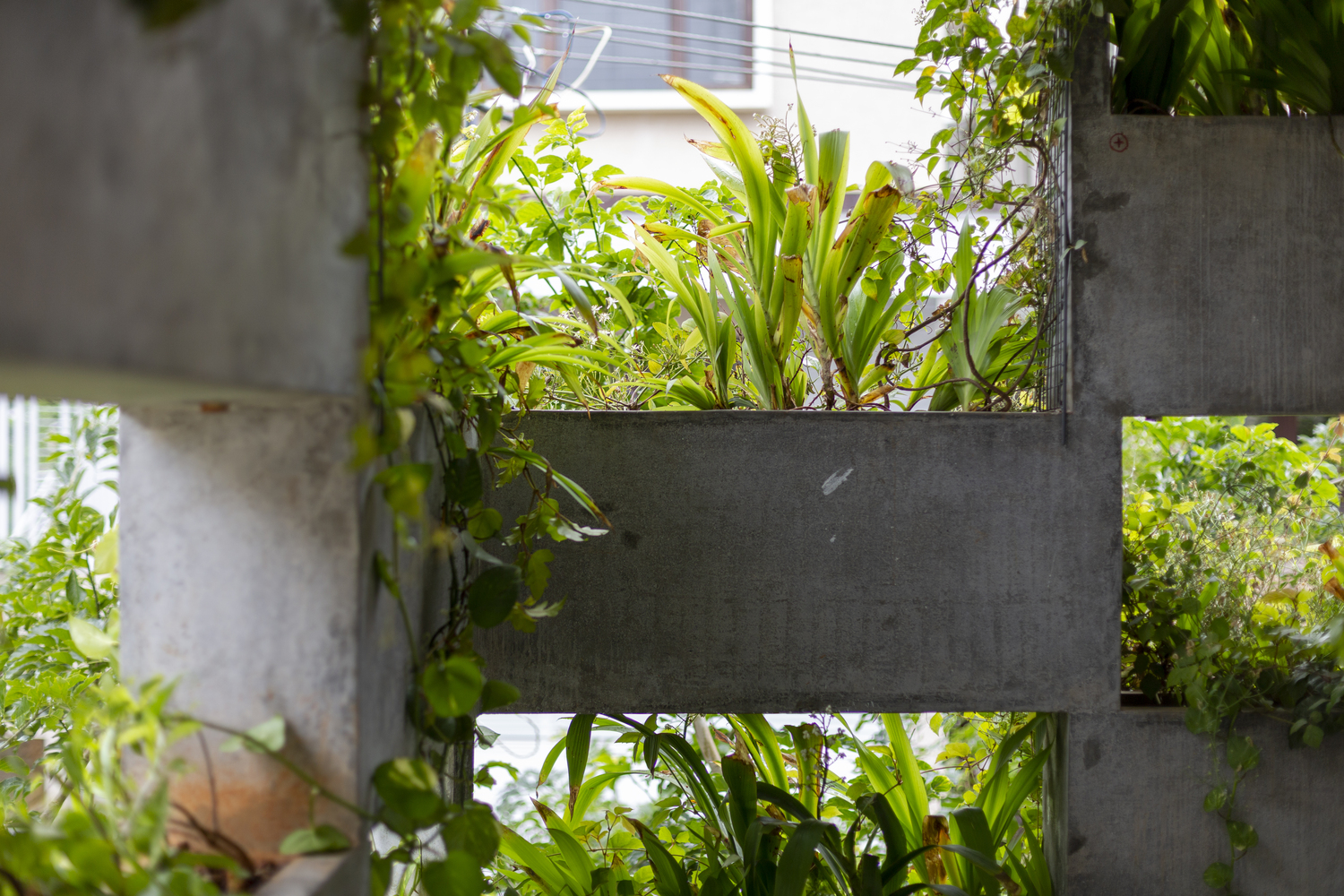 呼吸式立面 · 多功能植物墙的设计创新丨印度班加罗尔-17