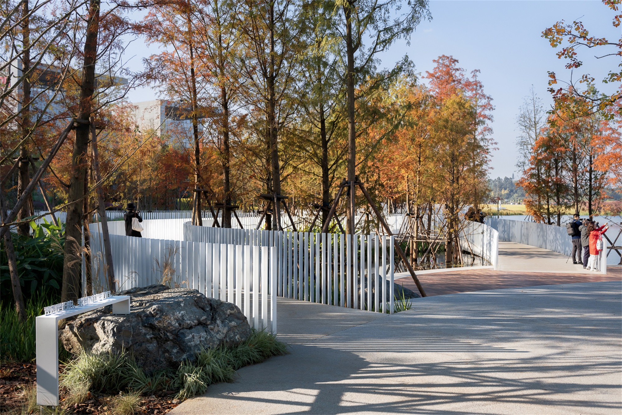 成都兴隆湖·湖畔森林图书馆丨中国成都丨昱道景观-40