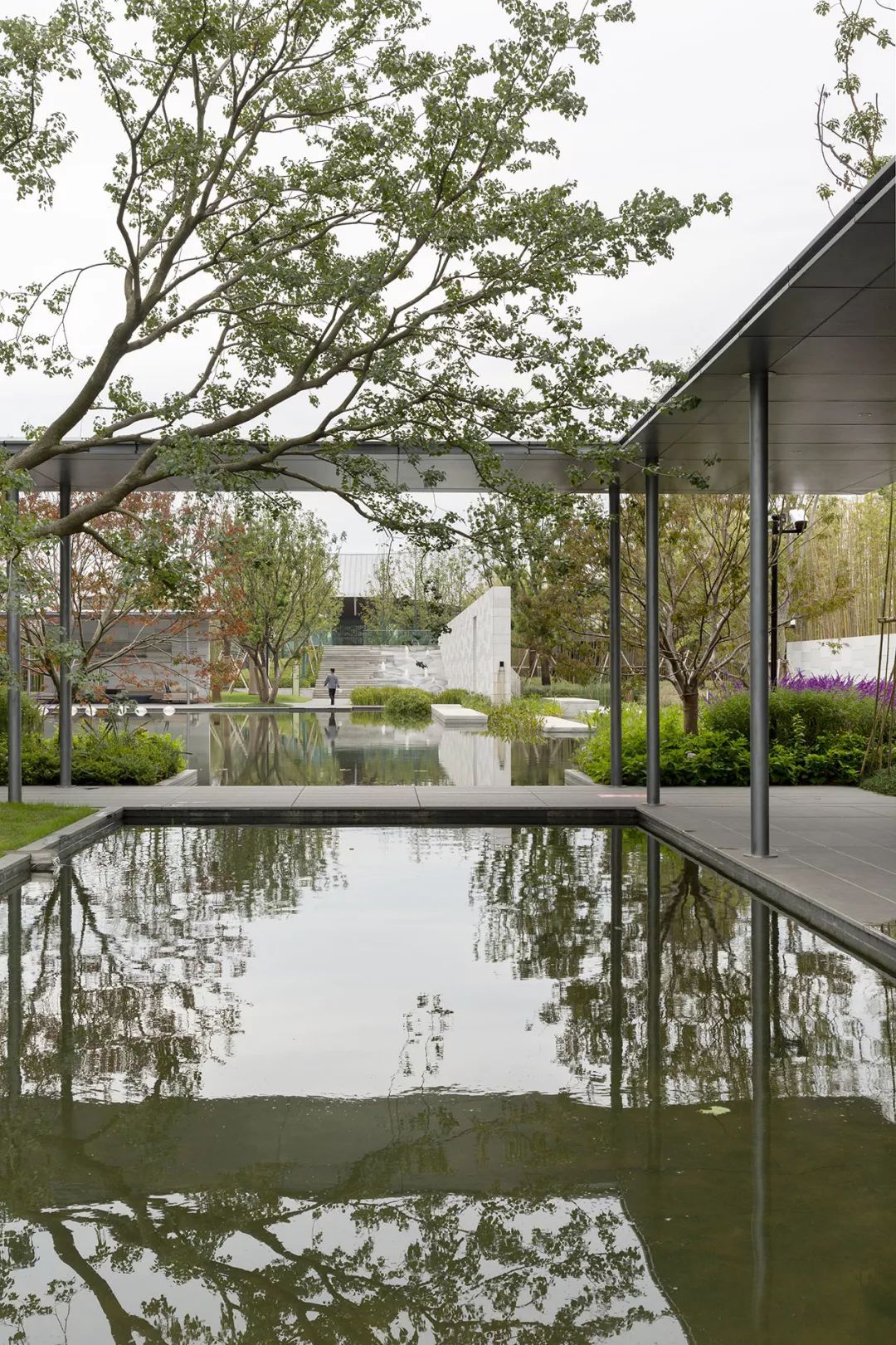 《雁归来》 | 水乡文化的现代解读-77