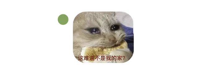 内卷的设计部年度考核丨公司设计部-31