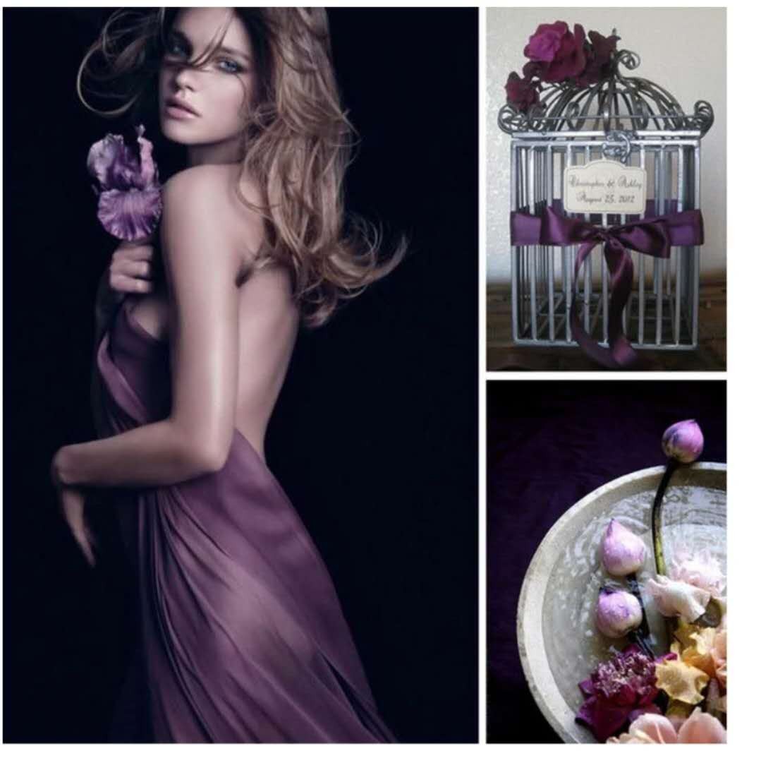 流动的色彩,优雅的私宅-2