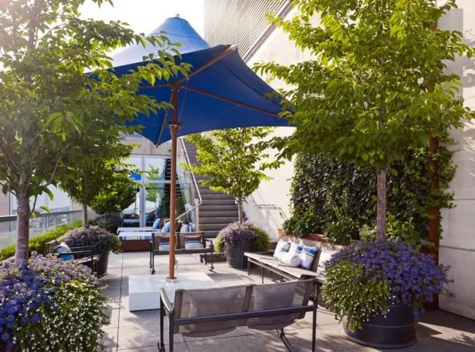 花园遮阴设计 | 构筑物与植物的巧妙组合-26