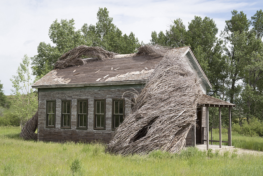 “白日梦”校舍,美国 / Cushing Terrell-9