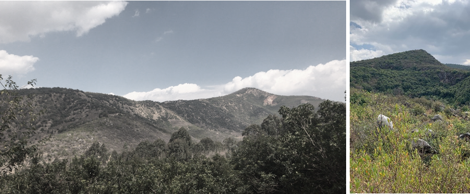 自然共生,心灵栖息的汉华天马山温泉酒店-18