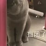 极简风,烟火气的误解与正名丨中国北京-26