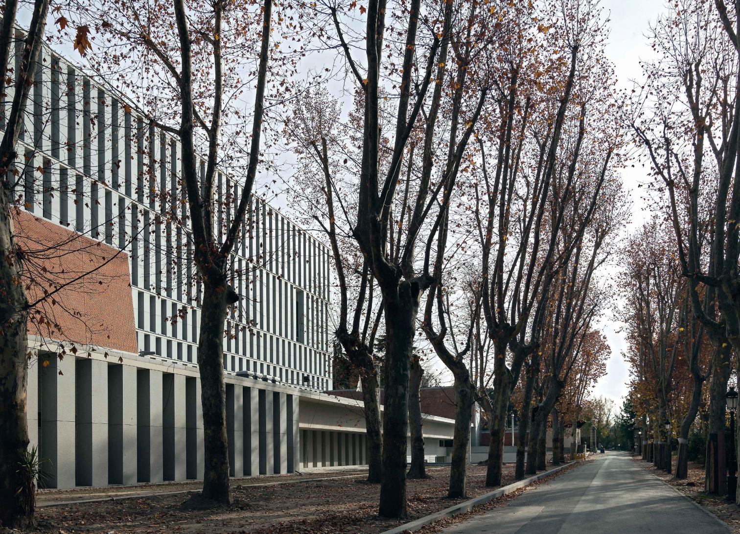 Madrid 皇家收藏博物馆 | 融入城市景观的现代建筑-27