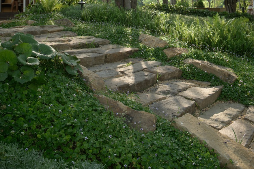 成都趣野公园(屋头公园)丨中国成都丨大小景观-207