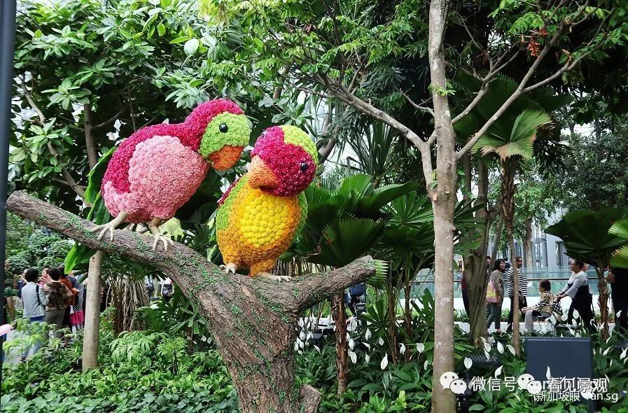 星耀樟宜 | 雨漩涡与绿意交织的机场奇迹-63