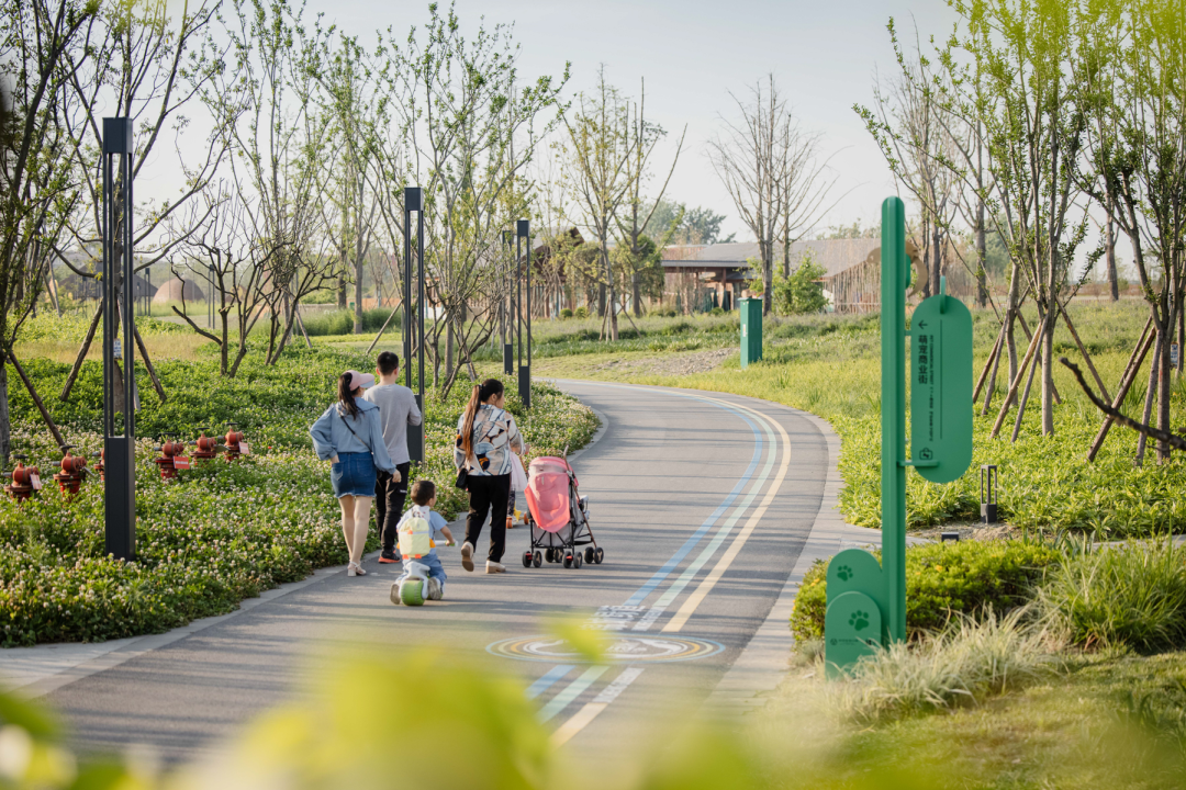 天府绿道·萌宠乐园｜良相设计-106