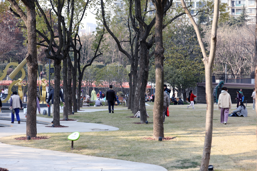 全龄友好的康养主题社区公园：上海长寿公园-42