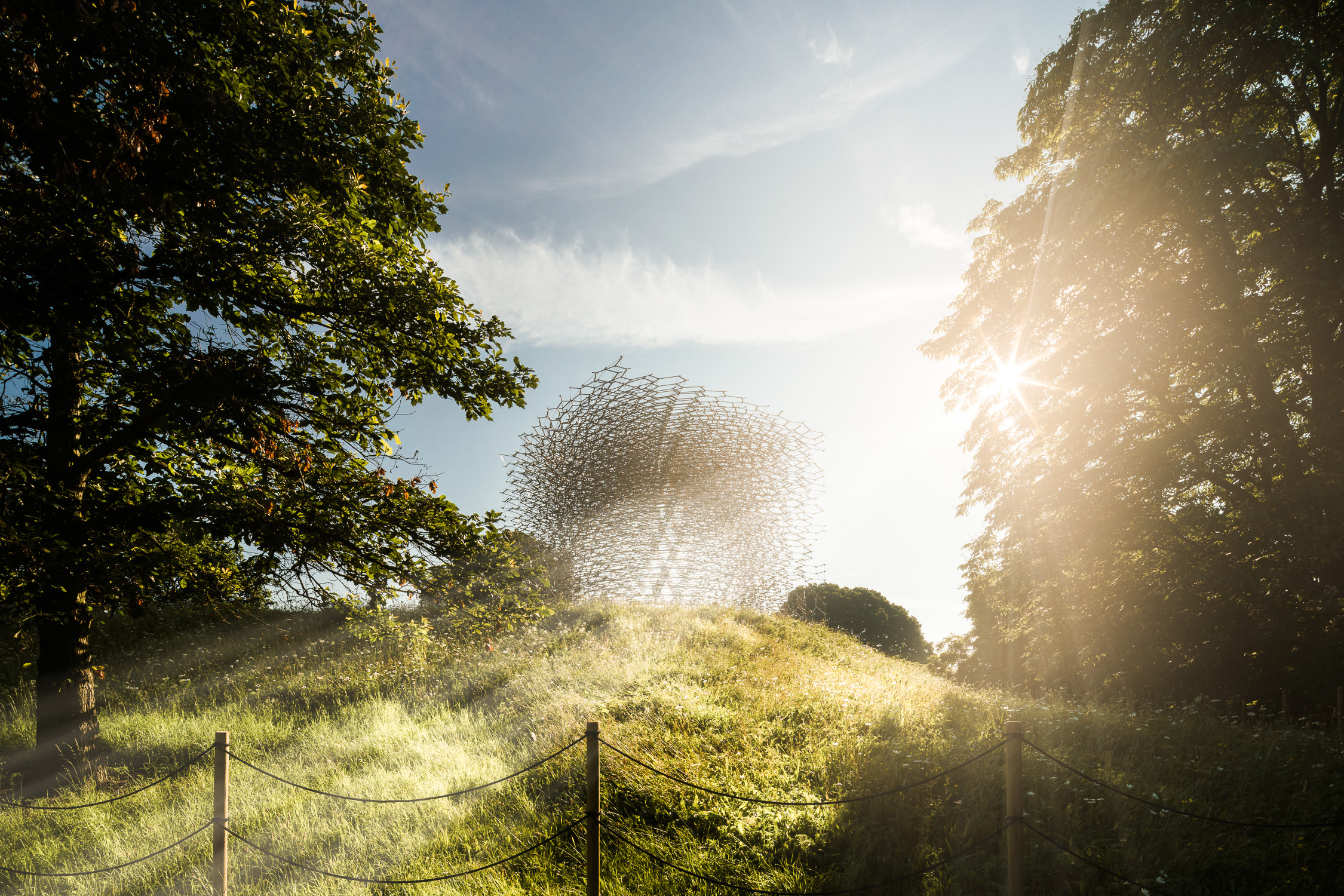 梦幻之境 · Wolfgang Buttress 的“蜂巢”-25