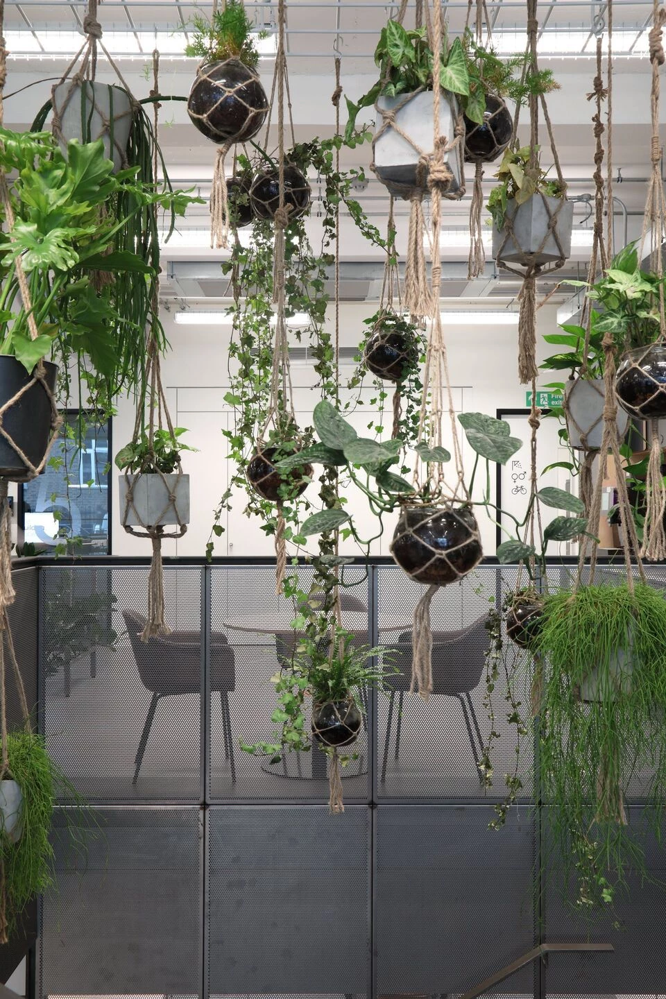 建筑协会丨英国伦敦丨Oktra,Squire & Partners-8