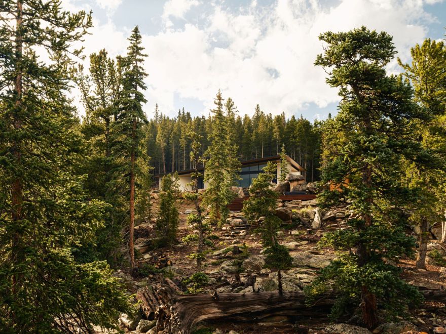 丨美国丹佛丨Tomecek Studio Architecture-11