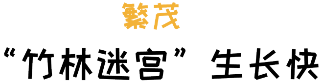 阿飞森林主题乐园 | 种子生长之旅的室内设计亮点-45