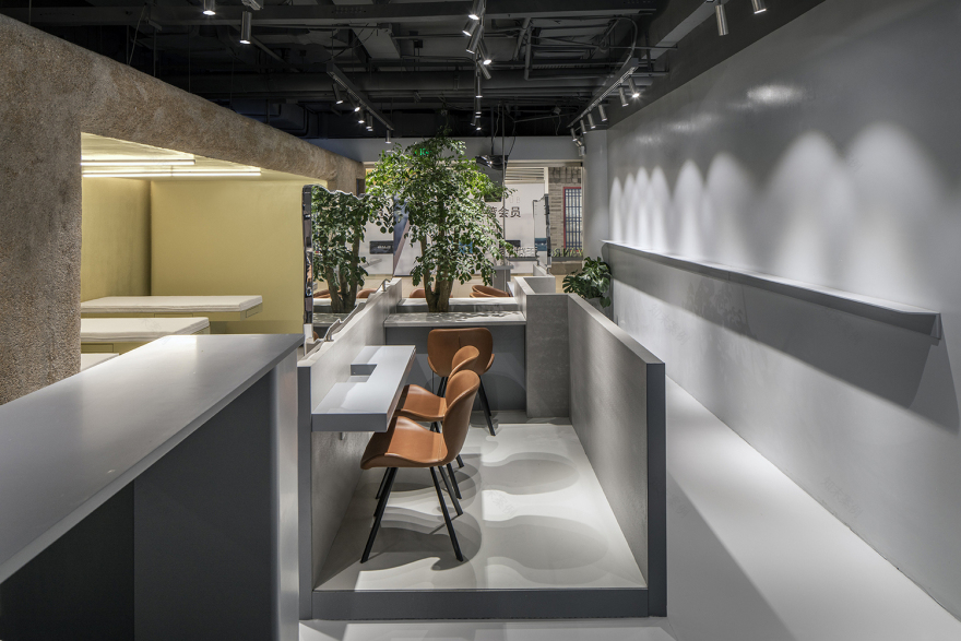 VAN ROU · 原始自然与生命力量的共生-11