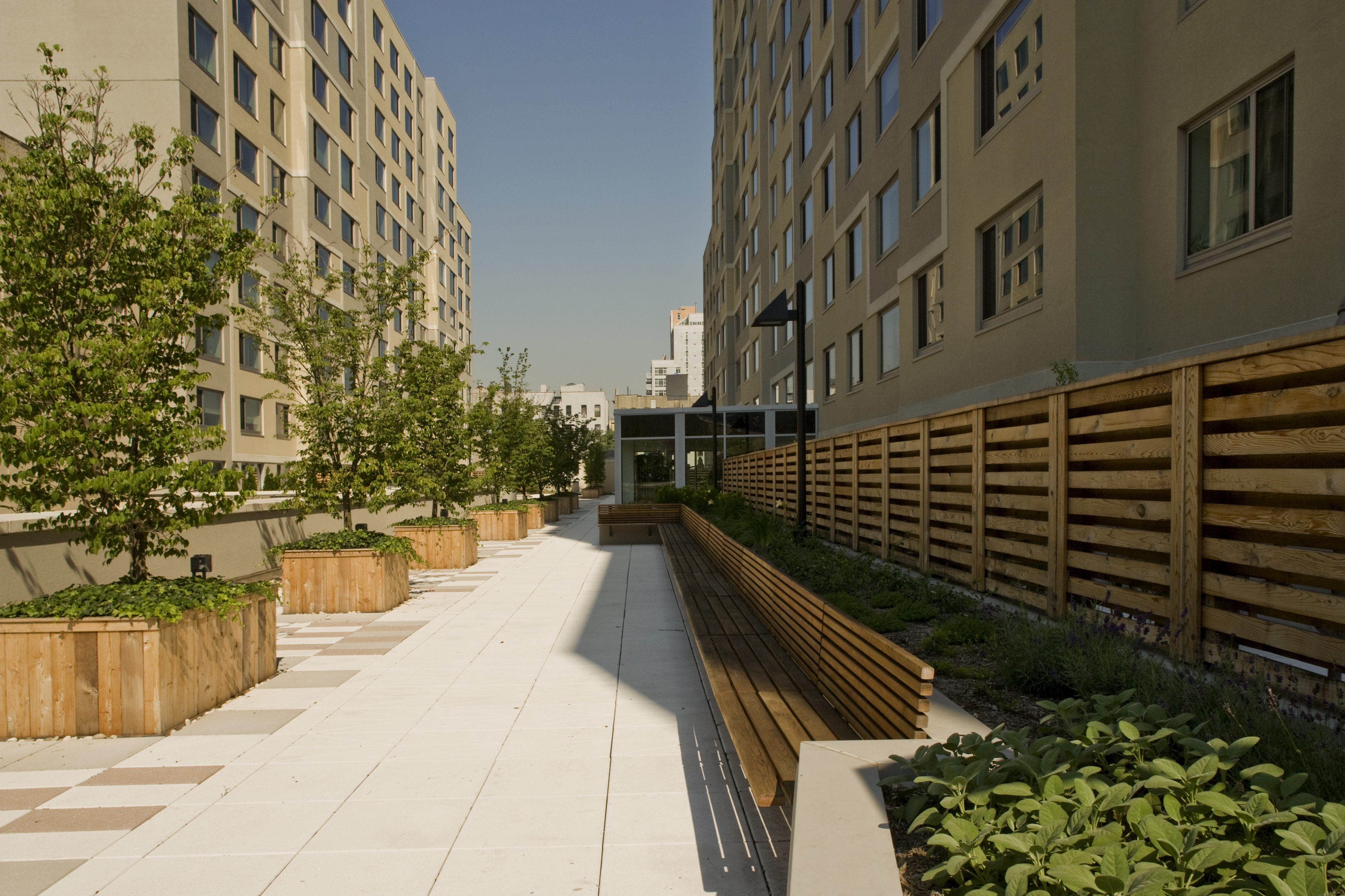 喀拉哈里（沙漠）丨美国纽约丨GF55 Architects-15