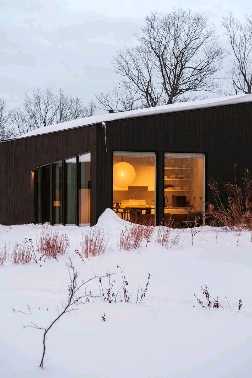 扭脊住宅(Twisted Ridge)丨美国-9