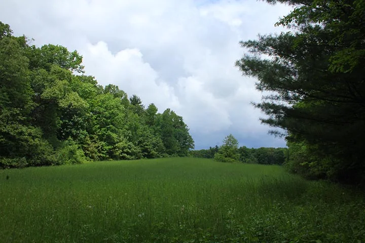 Shirley镇89英亩物业开发规划项目丨美国-9