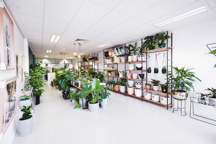 Hass & Co Botanics 店-37