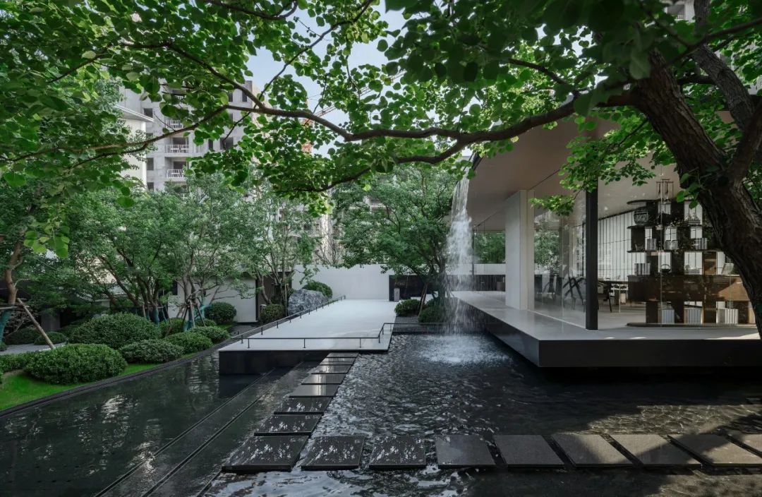 金沙操盘 | 成功经验：从河南火到全国各地（实地考察+主题演讲）-90