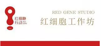 讲述 | 中国园林在海外的第一座里程碑——纽约大都会明轩-0