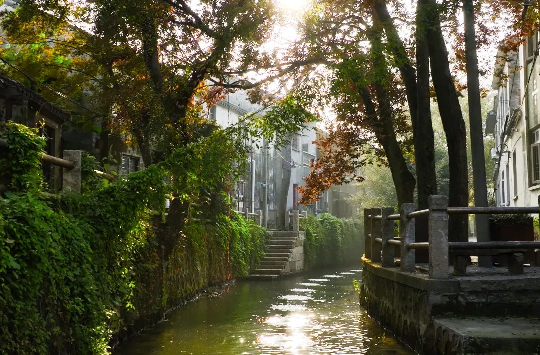 内建築作品｜自然织补的太湖漫山岛-44