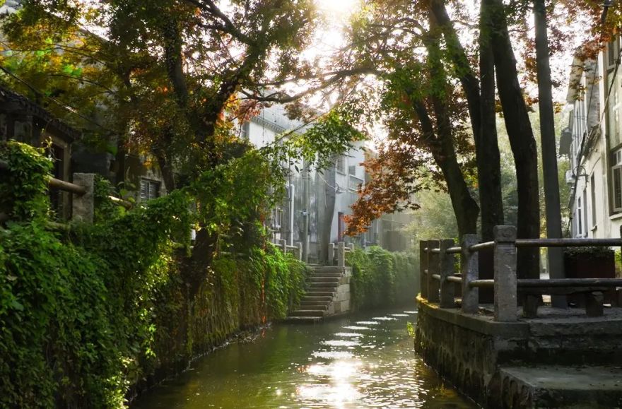 内建築作品|自然织补的太湖漫山岛-44