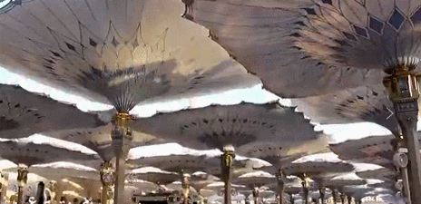 仿生美学 | 景观设计的新视角-53