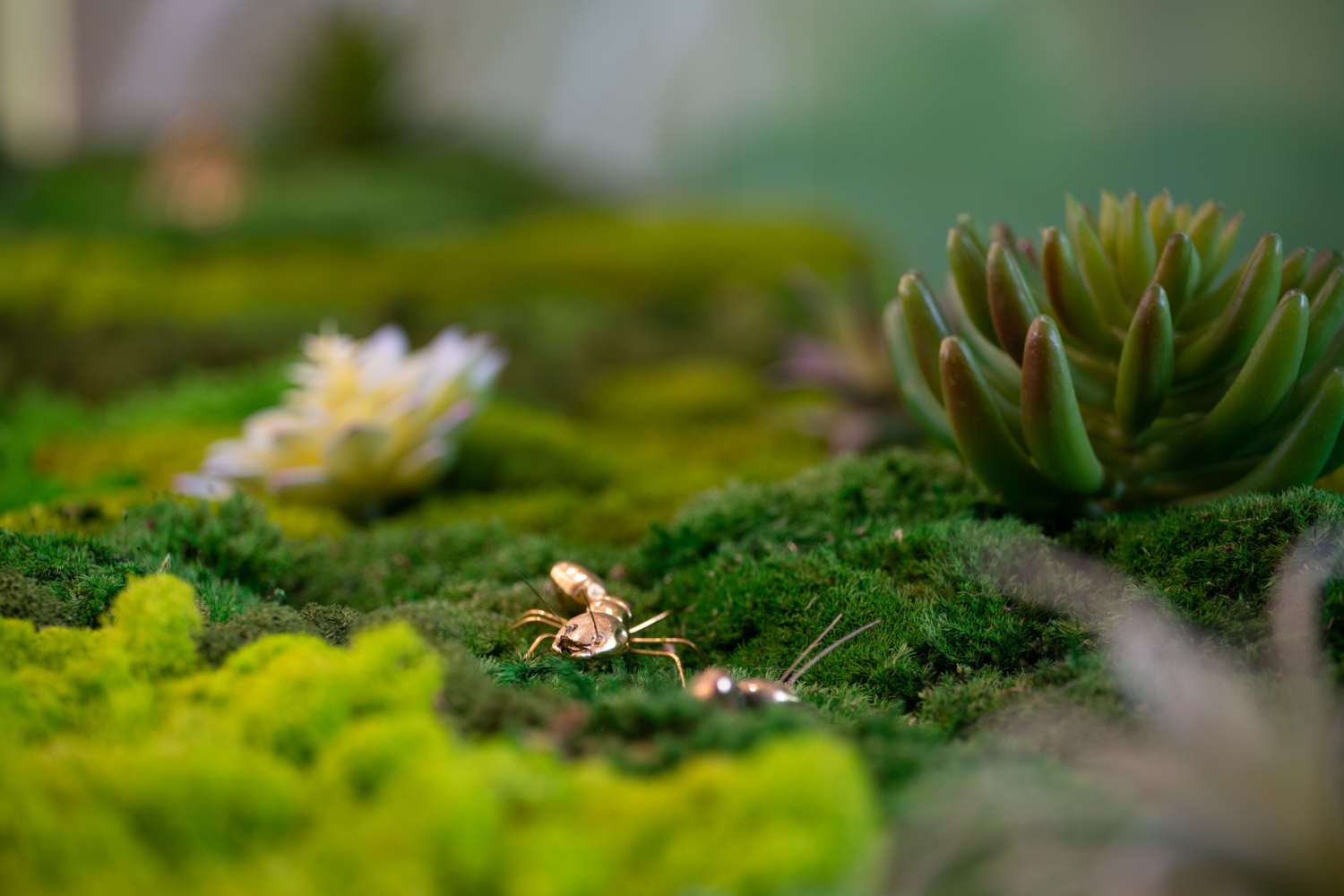 “花海”生活美学艺术馆丨中国盐城丨CHAO 巢羽设计事务所-17