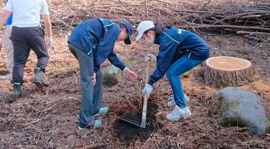 江东区立有明西学园丨日本东京丨株式会社久米设计-39