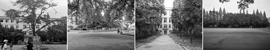 金地·梧桐里(南师大玄武科技园)丨中国南京丨LAURENT罗朗景观-9