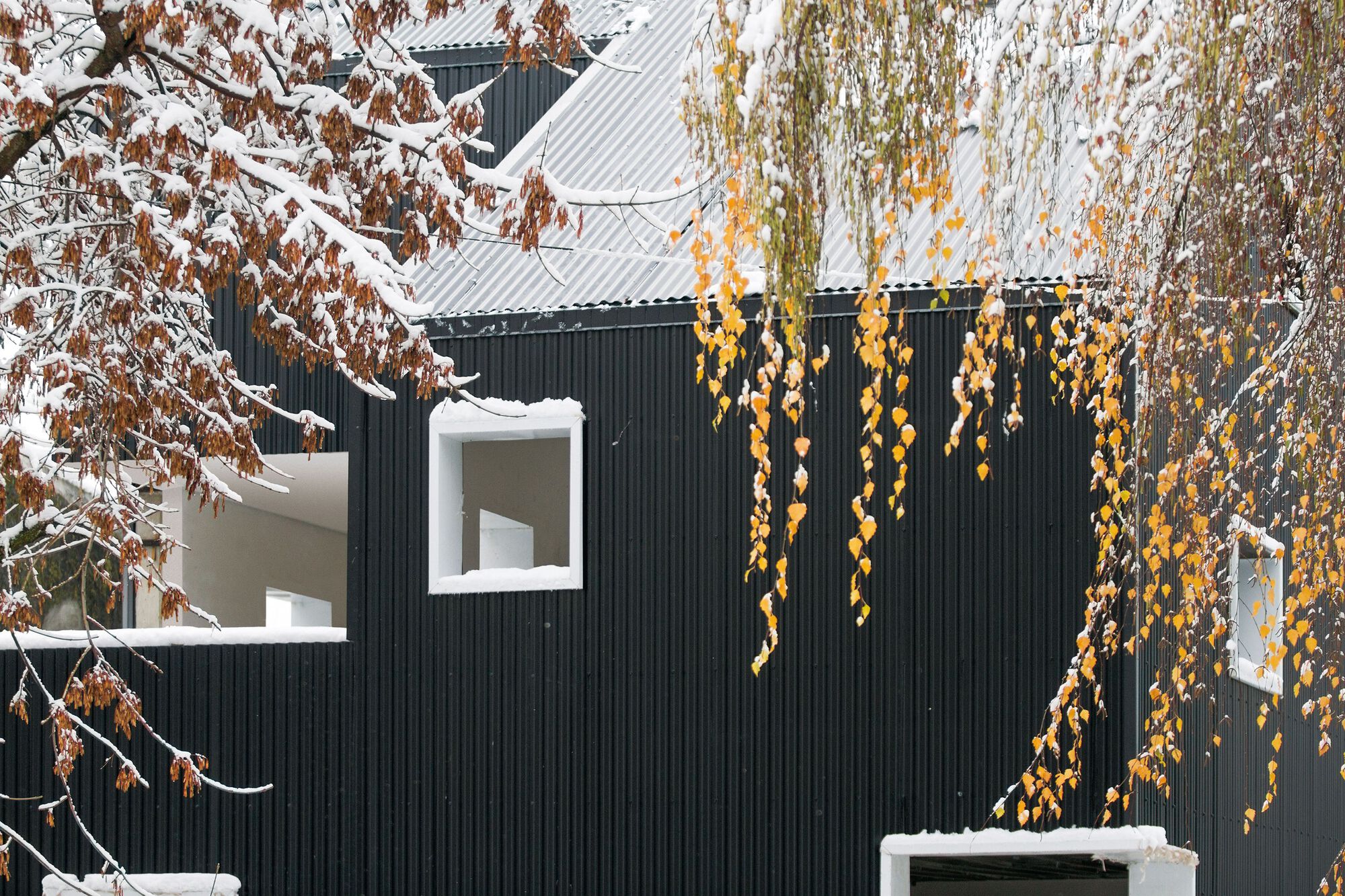 Domesticated Mountain Housing Complex / Estudio Botteri-Connell-15