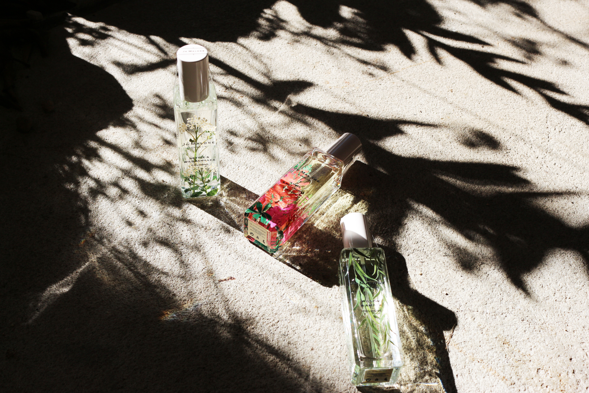 丨新西兰奥克兰丨Xanthe White Design-28