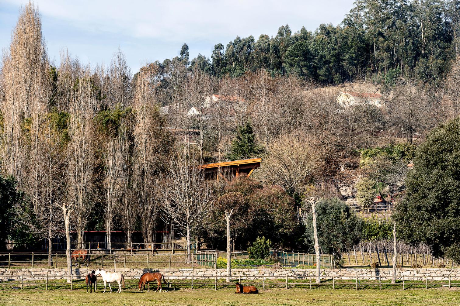 葡萄牙 São Cosme do Vale 马术学校丨Visioarq Arquitectos-8