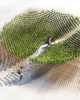 Kokedama Forest Installation，可持续微型森林雕塑