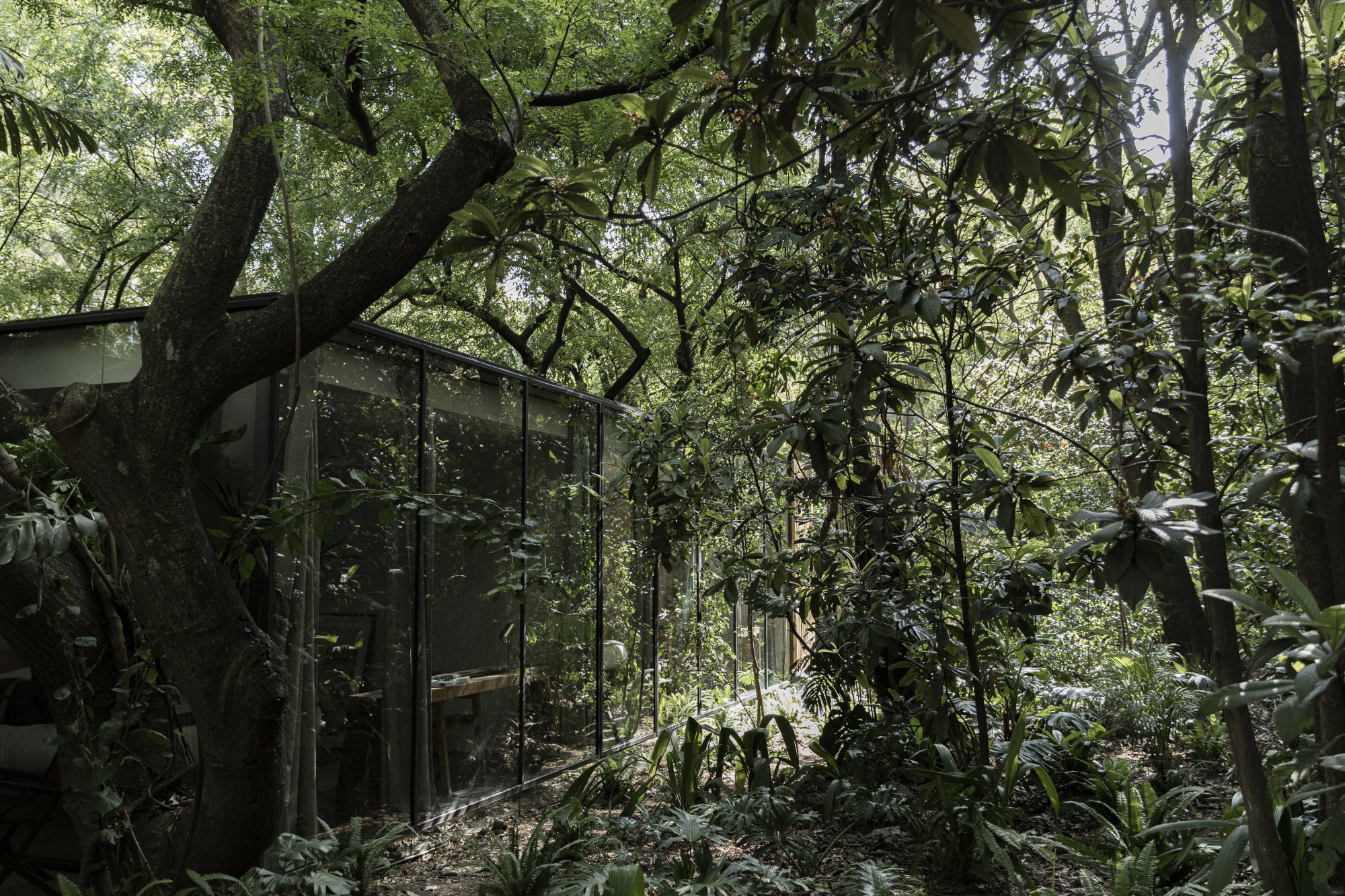 Casa Mague 住宅丨墨西哥丨MCxA Mauricio Ceballos Architects-16