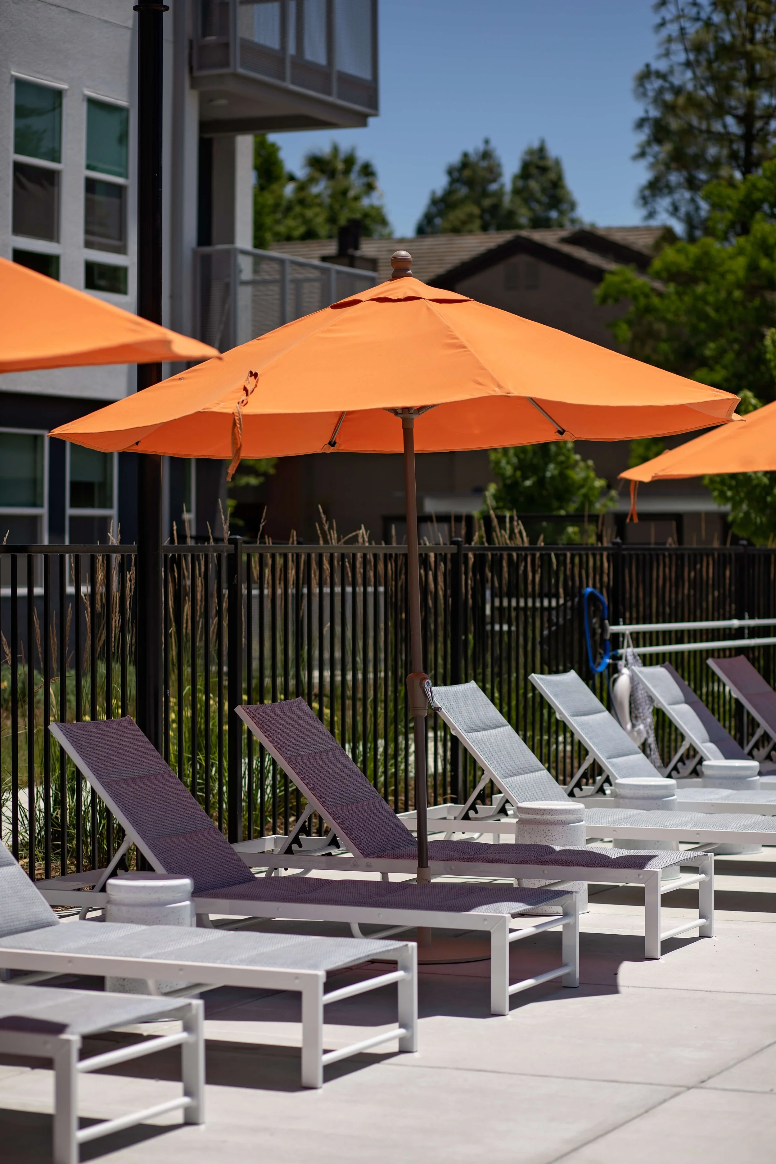 丨美国加利福尼亚-49